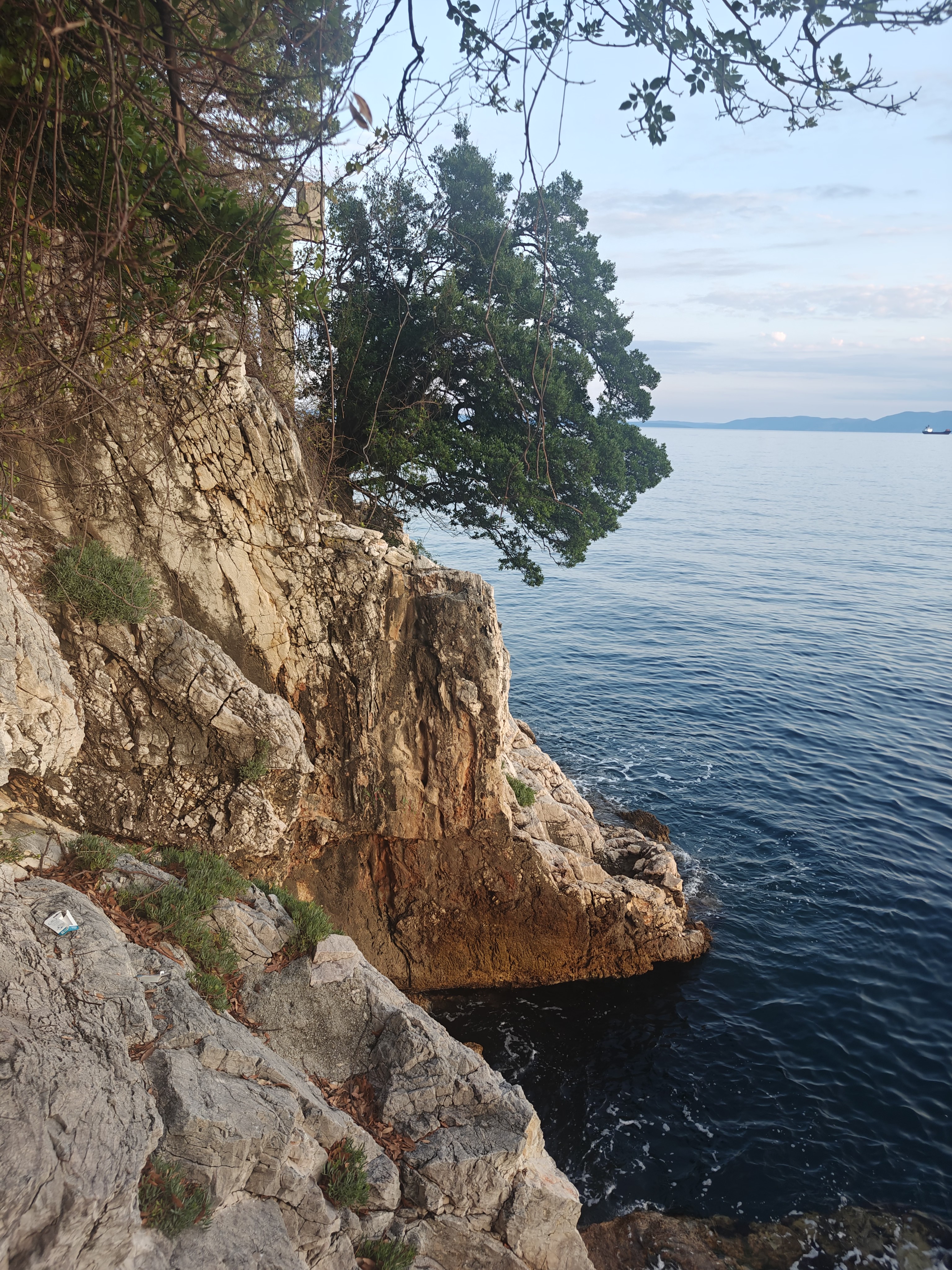 The sea