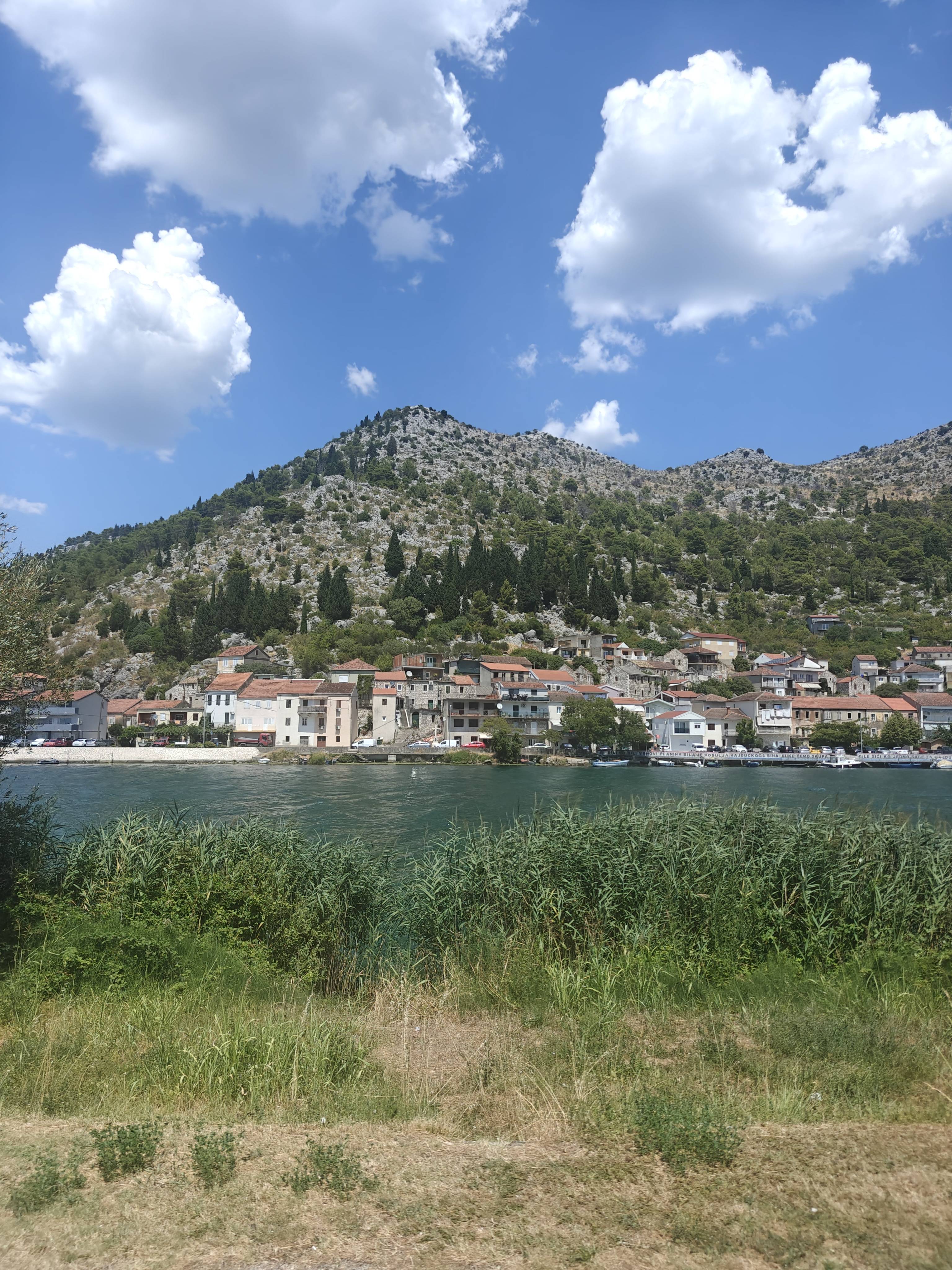 Landscape from the bus